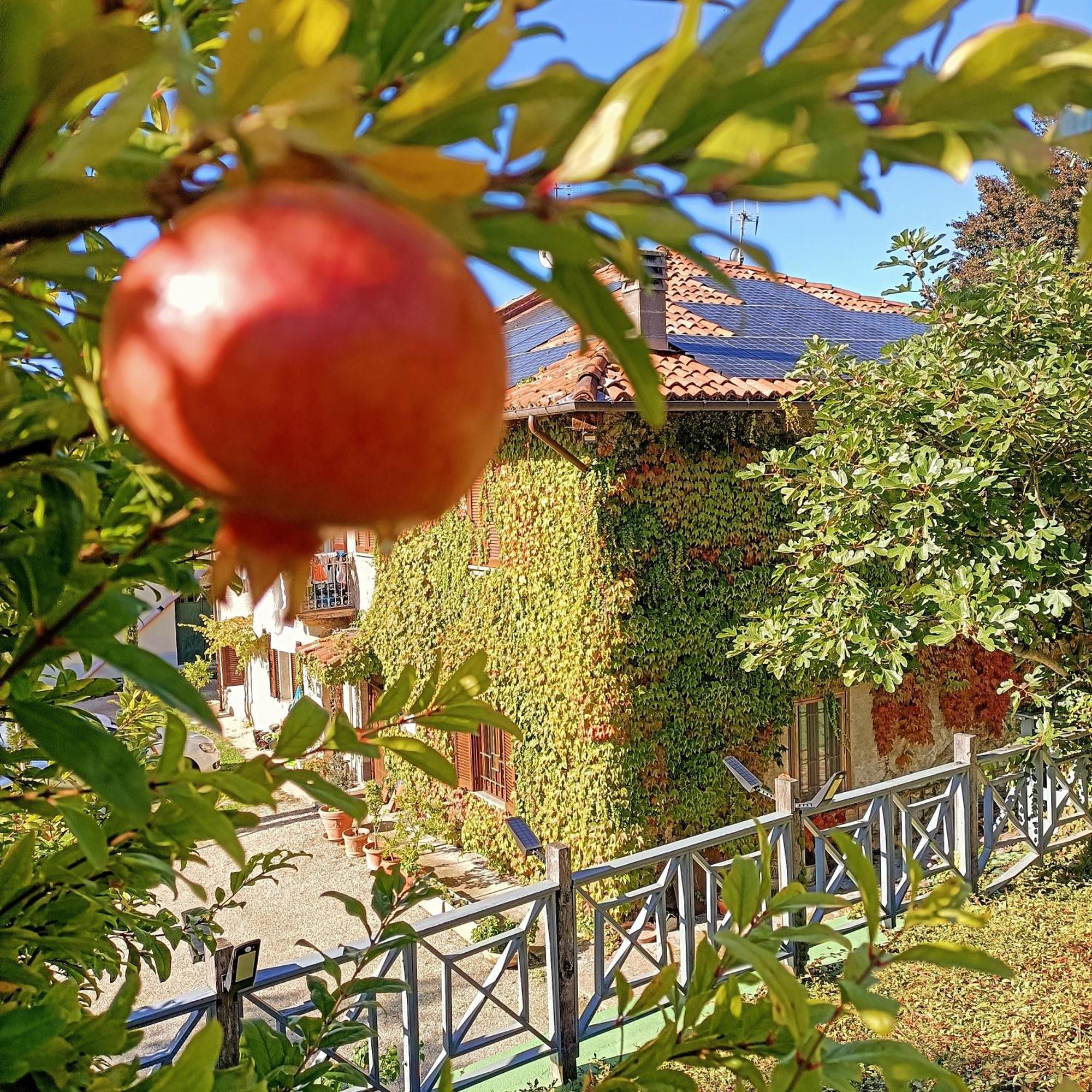 Casa Del Canta Borgomale Экстерьер фото